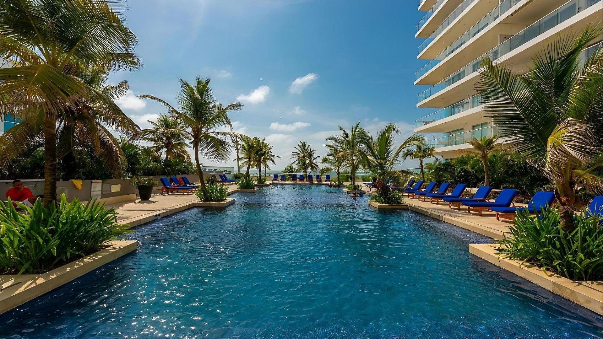 Frente Al Mar Con Acceso Directo A La Playa Morros Epic. Apartamento *
